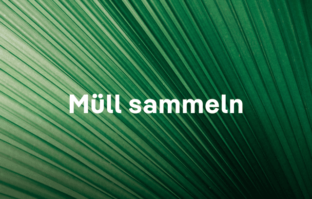 Muell sammeln