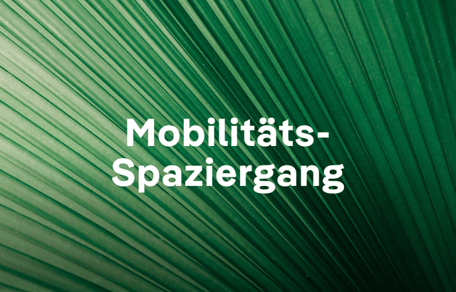 Mobilitaets-Spaziergang