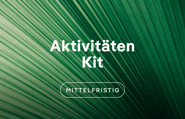 Aktivitäten Kit – Mittelfristige Initiativen für den Climate Action Day